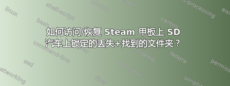 如何访问/恢复 Steam 甲板上 SD 汽车上锁定的丢失+找到的文件夹？