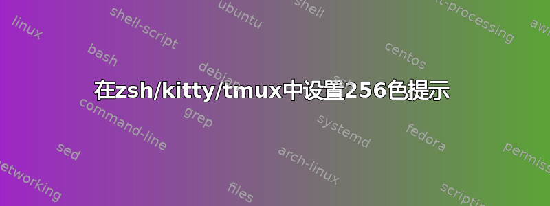 在zsh/kitty/tmux中设置256色提示