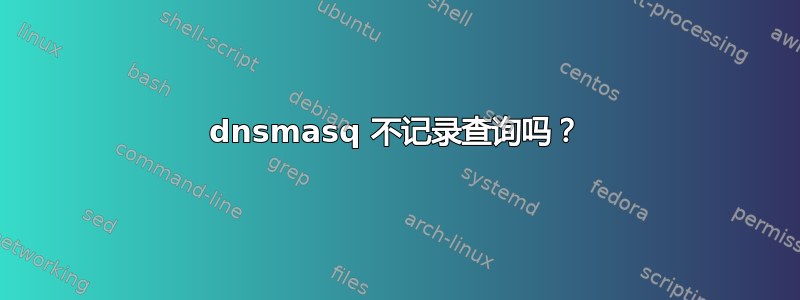 dnsmasq 不记录查询吗？