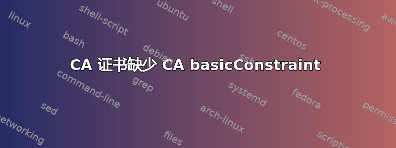 CA 证书缺少 CA basicConstraint