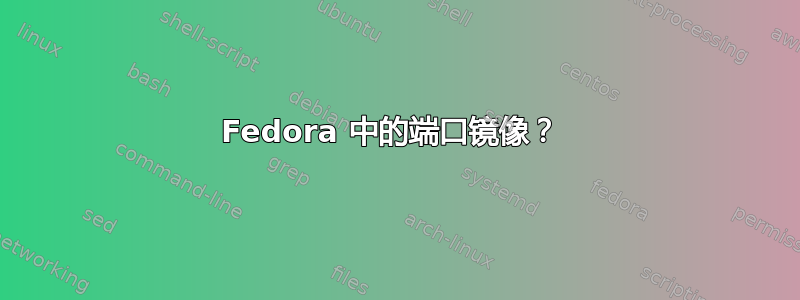 Fedora 中的端口镜像？ 