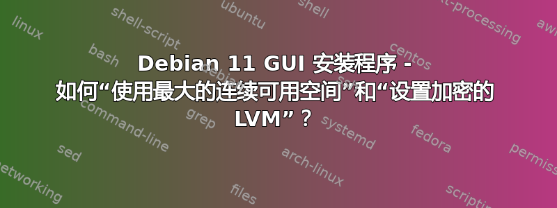 Debian 11 GUI 安装程序 - 如何“使用最大的连续可用空间”和“设置加密的 LVM”？