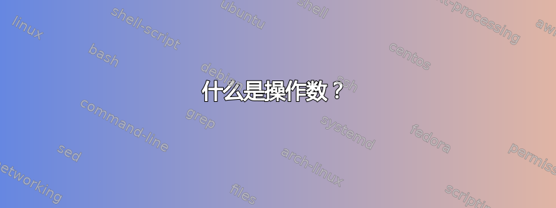 什么是操作数？