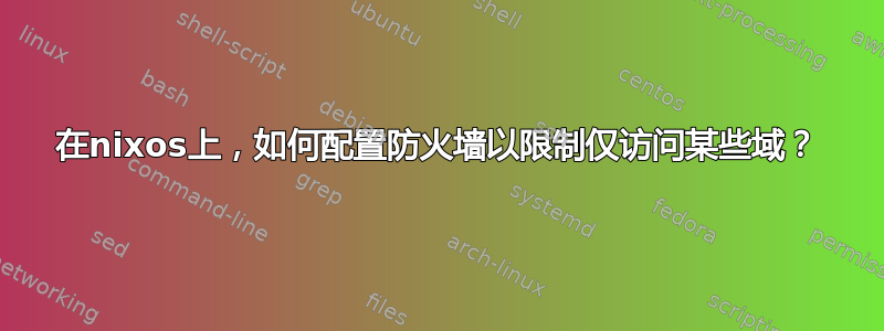 在nixos上，如何配置防火墙以限制仅访问某些域？