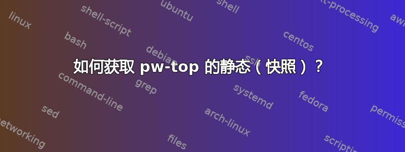 如何获取 pw-top 的静态（快照）？