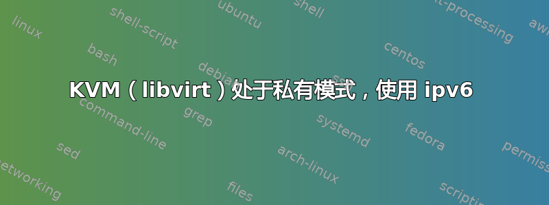 KVM（libvirt）处于私有模式，使用 ipv6