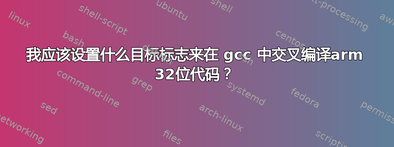 我应该设置什么目标标志来在 gcc 中交叉编译arm 32位代码？