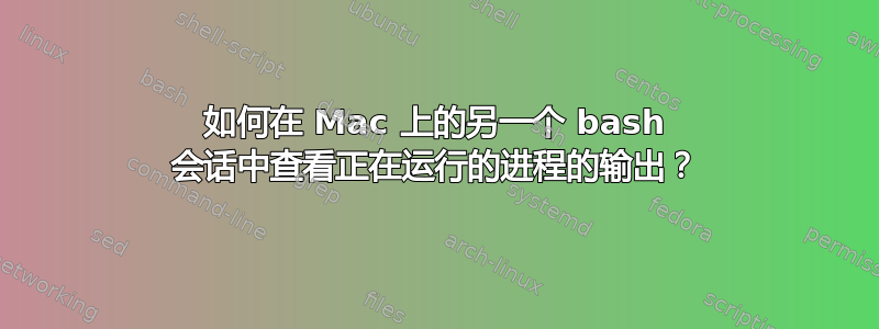 如何在 Mac 上的另一个 bash 会话中查看正在运行的进程的输出？