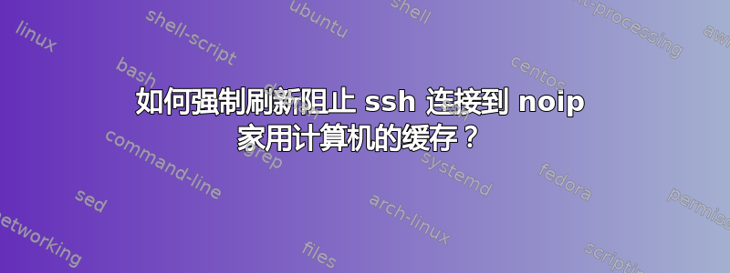 如何强制刷新阻止 ssh 连接到 noip 家用计算机的缓存？