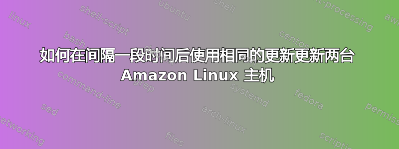 如何在间隔一段时间后使用相同的更新更新两台 Amazon Linux 主机