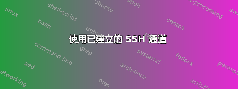 使用已建立的 SSH 通道