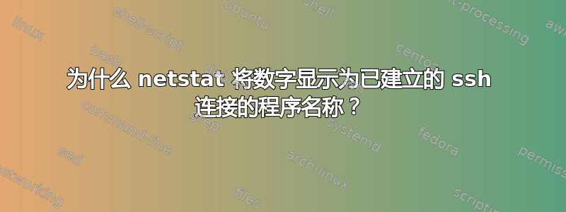 为什么 netstat 将数字显示为已建立的 ssh 连接的程序名称？