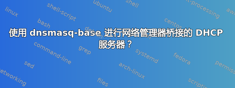 使用 dnsmasq-base 进行网络管理器桥接的 DHCP 服务器？