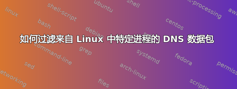 如何过滤来自 Linux 中特定进程的 DNS 数据包