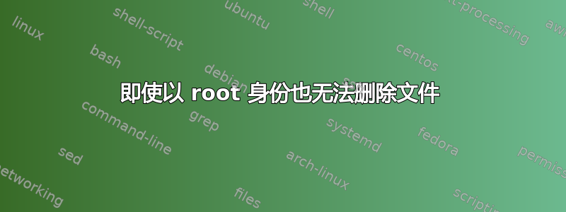 即使以 root 身份也无法删除文件