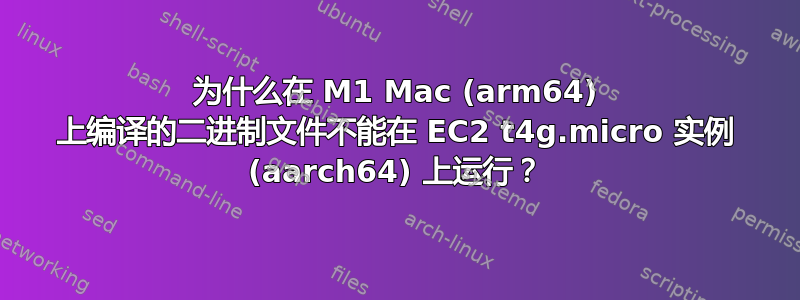 为什么在 M1 Mac (arm64) 上编译的二进制文件不能在 EC2 t4g.micro 实例 (aarch64) 上运行？