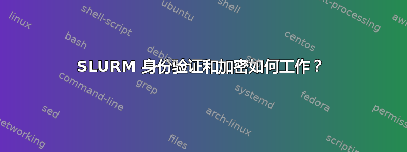 SLURM 身份验证和加密如何工作？