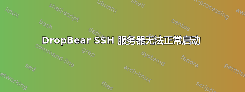 DropBear SSH 服务器无法正常启动