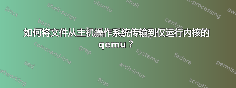 如何将文件从主机操作系统传输到仅运行内核的 qemu？