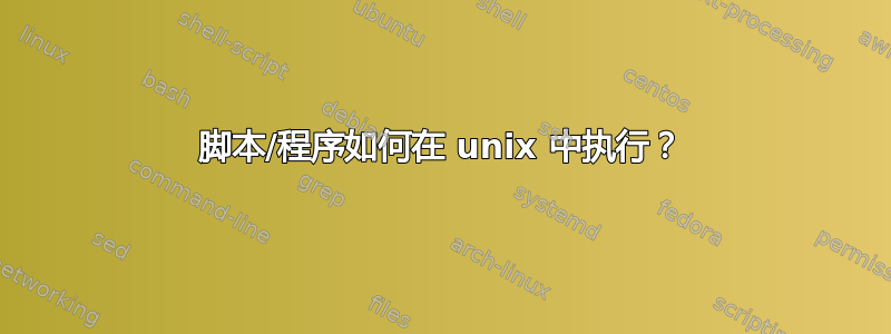 脚本/程序如何在 unix 中执行？