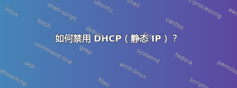 如何禁用 DHCP（静态 IP）？