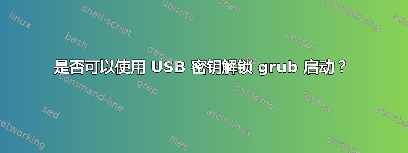 是否可以使用 USB 密钥解锁 grub 启动？