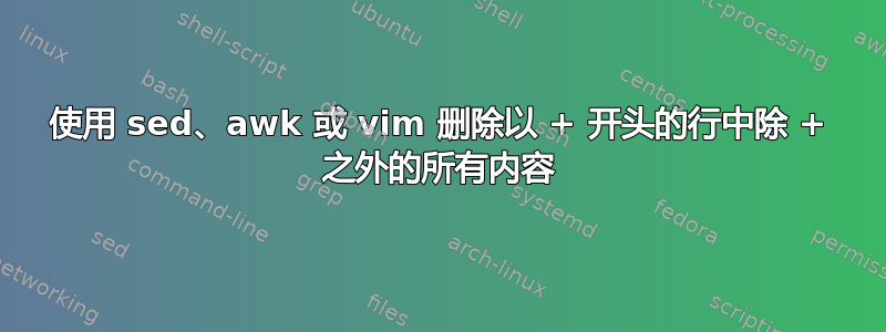 使用 sed、awk 或 vim 删除以 + 开头的行中除 + 之外的所有内容