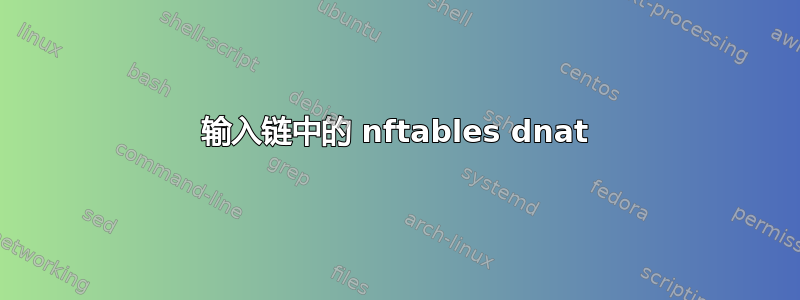 输入链中的 nftables dnat