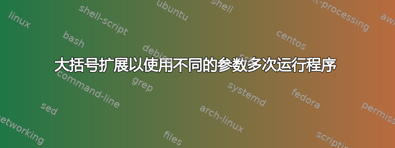 大括号扩展以使用不同的参数多次运行程序