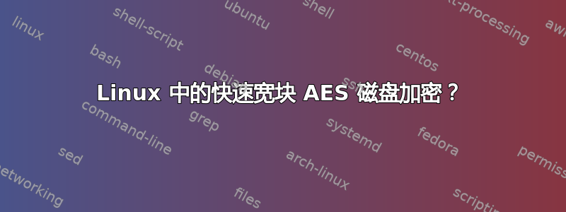 Linux 中的快速宽块 AES 磁盘加密？