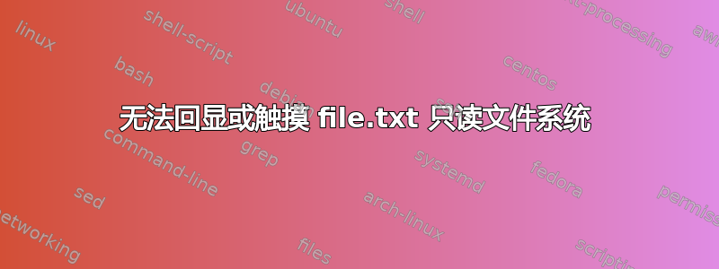 无法回显或触摸 file.txt 只读文件系统