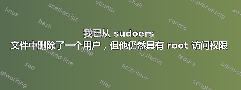 我已从 sudoers 文件中删除了一个用户，但他仍然具有 root 访问权限