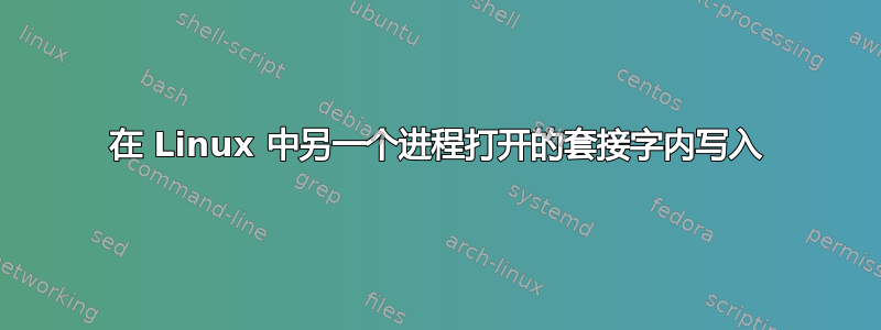 在 Linux 中另一个进程打开的套接字内写入