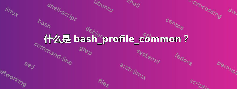 什么是 bash_profile_common？