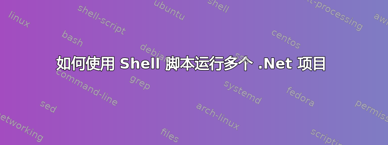 如何使用 Shell 脚本运行多个 .Net 项目