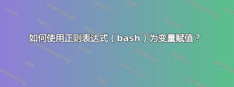 如何使用正则表达式（bash）为变量赋值？