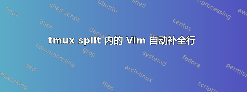 tmux split 内的 Vim 自动补全行