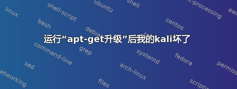 运行“apt-get升级”后我的kali坏了