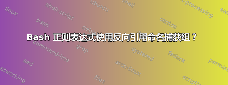 Bash 正则表达式使用反向引用命名捕获组？