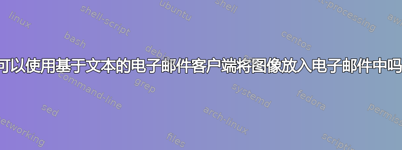 我可以使用基于文本的电子邮件客户端将图像放入电子邮件中吗？