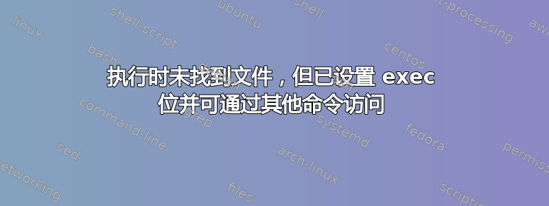 执行时未找到文件，但已设置 exec 位并可通过其他命令访问