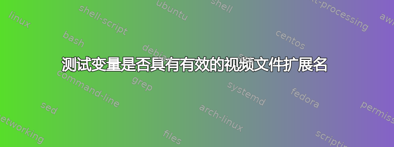 测试变量是否具有有效的视频文件扩展名