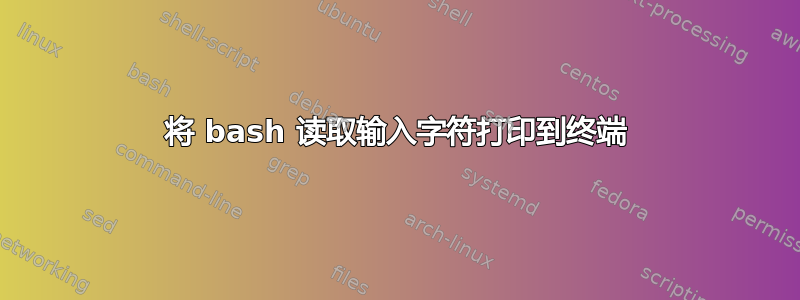 将 bash 读取输入字符打印到终端