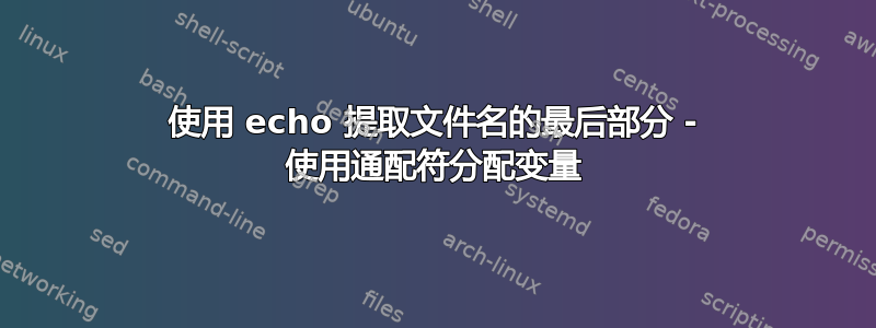 使用 echo 提取文件名的最后部分 - 使用通配符分配变量