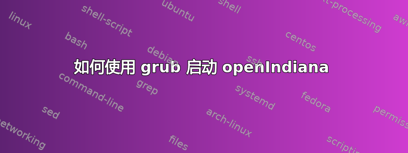 如何使用 grub 启动 openIndiana