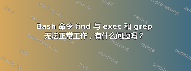 Bash 命令 find 与 exec 和 grep 无法正常工作，有什么问题吗？