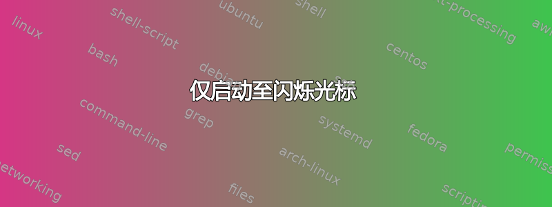 仅启动至闪烁光标