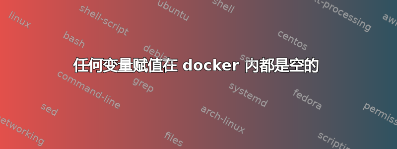 任何变量赋值在 docker 内都是空的