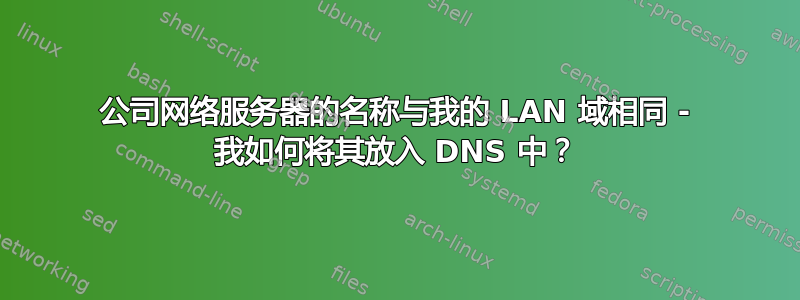 公司网络服务器的名称与我的 LAN 域相同 - 我如何将其放入 DNS 中？