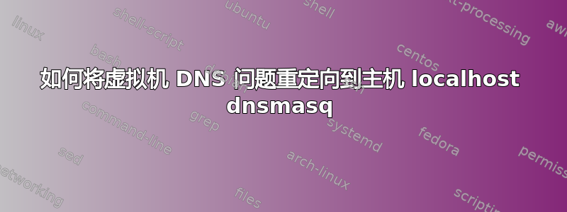 如何将虚拟机 DNS 问题重定向到主机 localhost dnsmasq